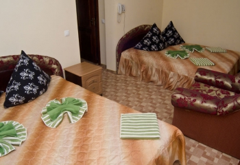 Готель Хата Магната. Драгобрат