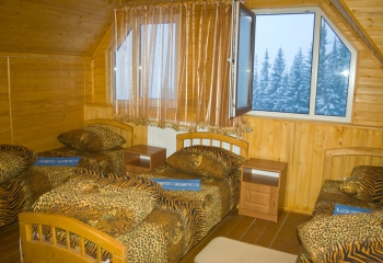 Приватна садиба Смерічка. Драгобрат