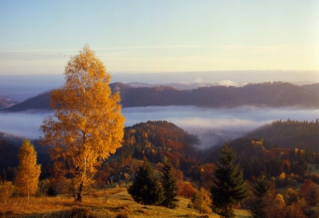 Приватна садиба Калина. Драгобрат