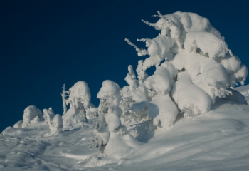 Фотогалерея Драгобрату