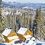 Файна Файта